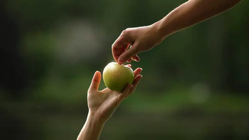 Hands holding an apple