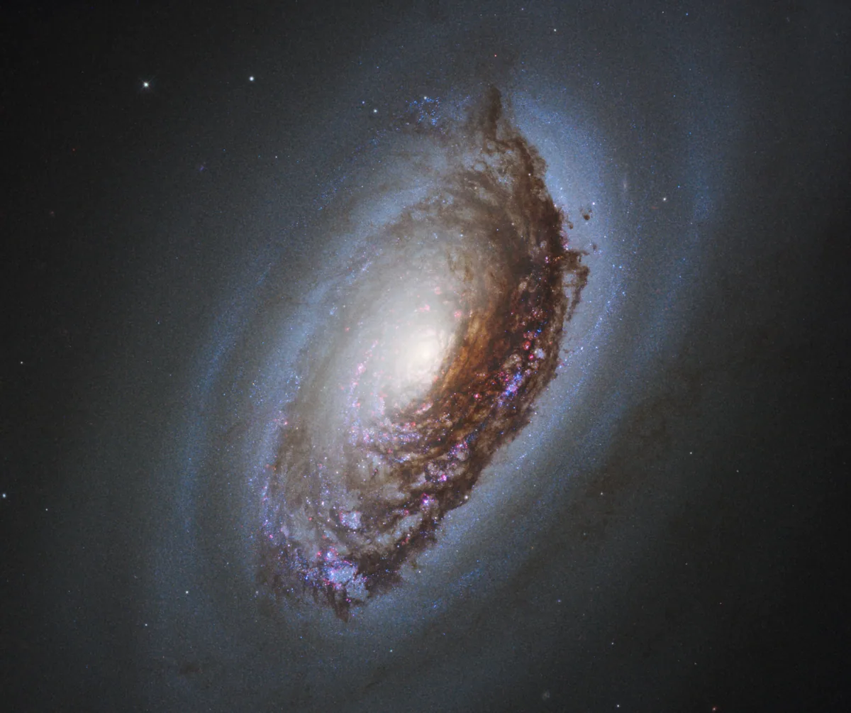 Black Eye Galaxy