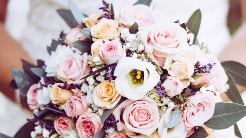 Beautiful Flowers