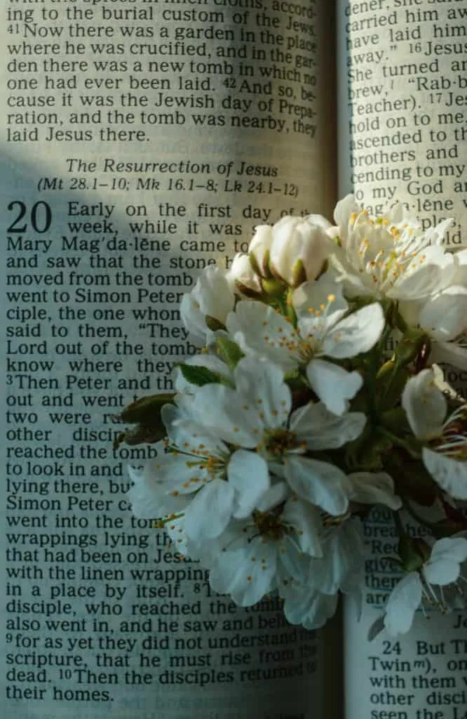 Christ's Resurrection