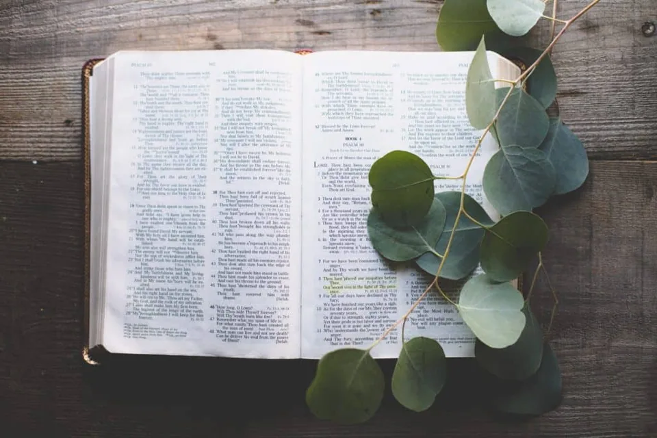 Open Bible