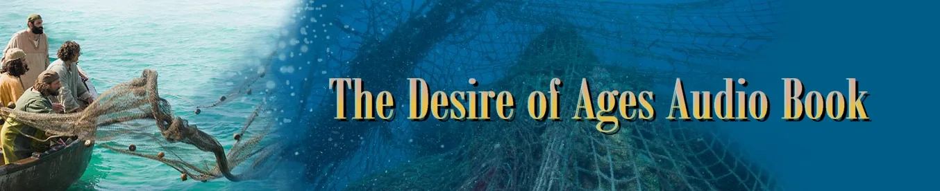 The Desire of Ages cover