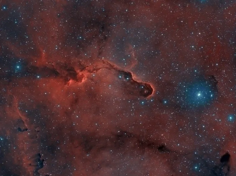 Elephant's Trunk Nebula