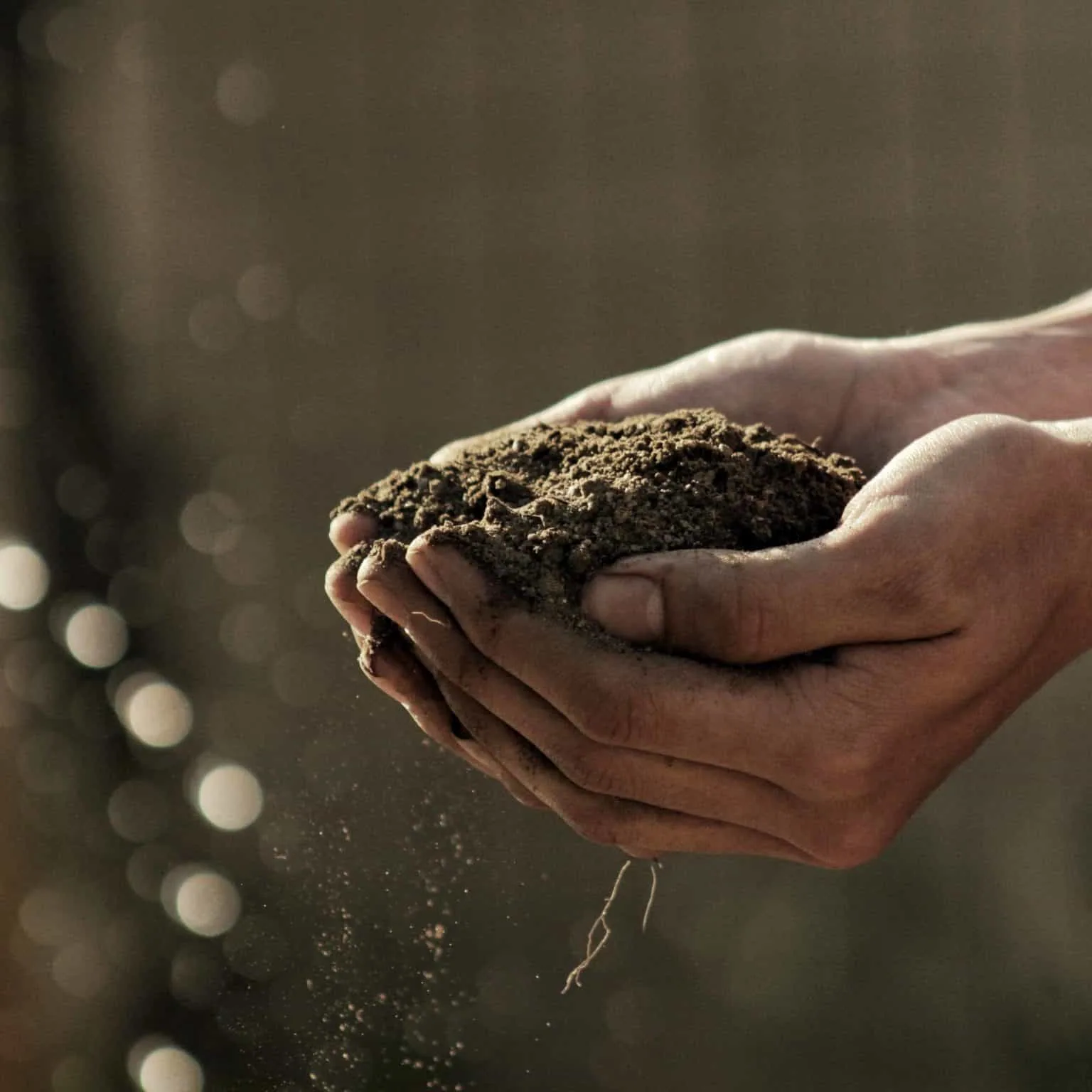Soil in hands