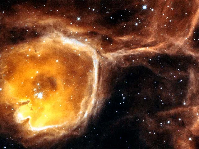 N44F