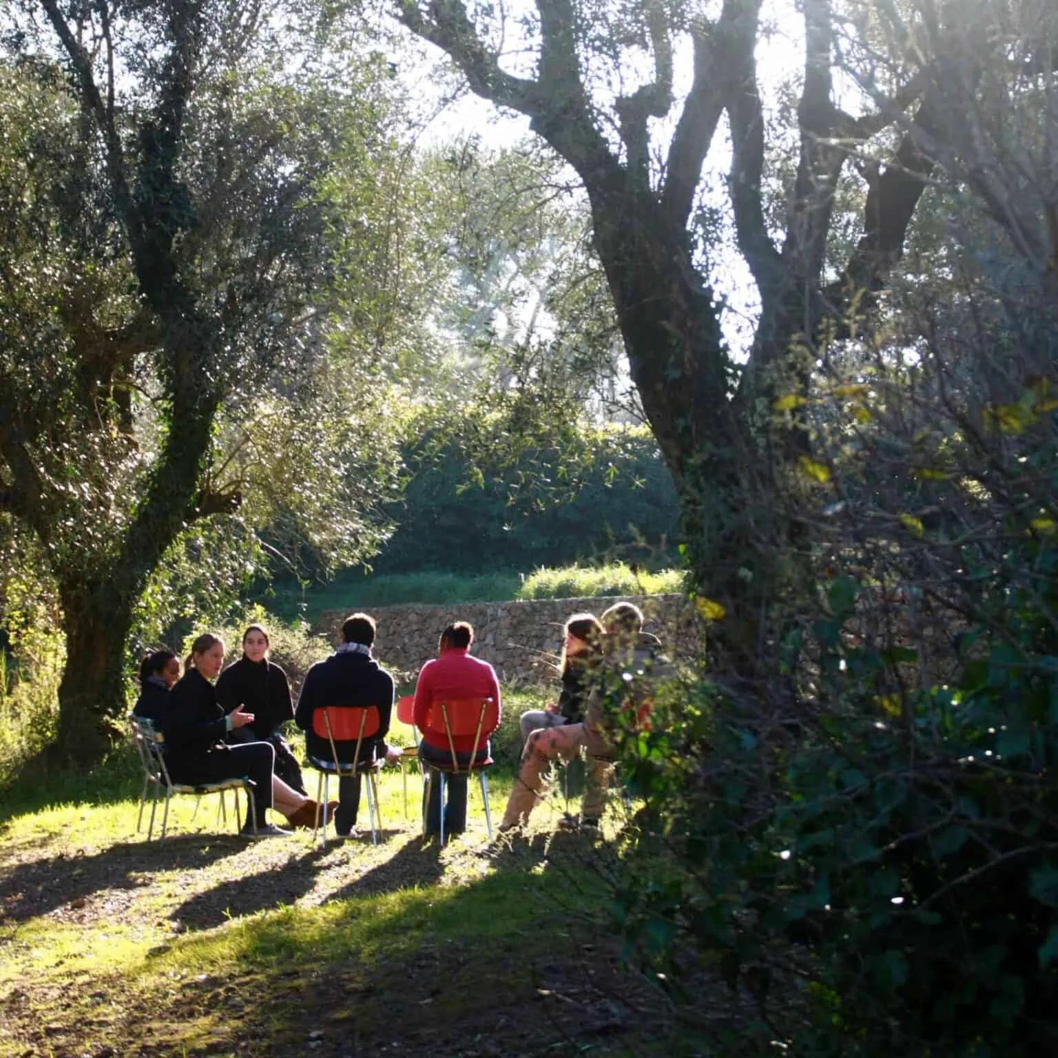 A group of people having a discussion under a tree