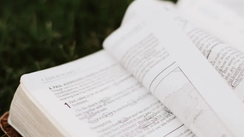 Open Bible