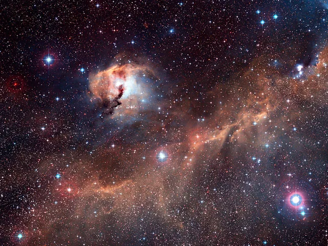 Seagull Nebula