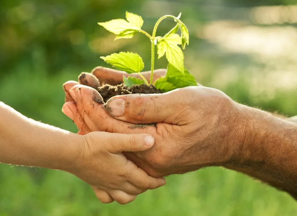 Stewardship