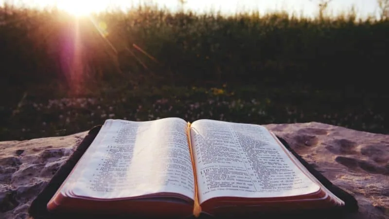 An open Bible