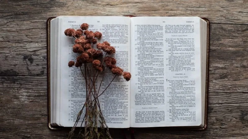 Open Bible